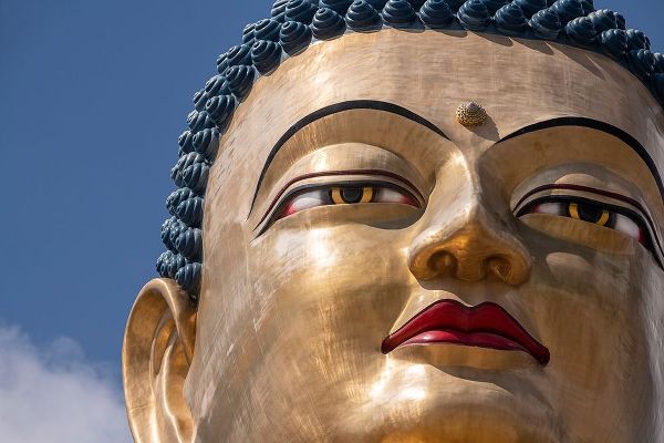 Bhutan-Thimphu Kuensel Phodrang-aka Buddha Point-largest Buddha statue in the country